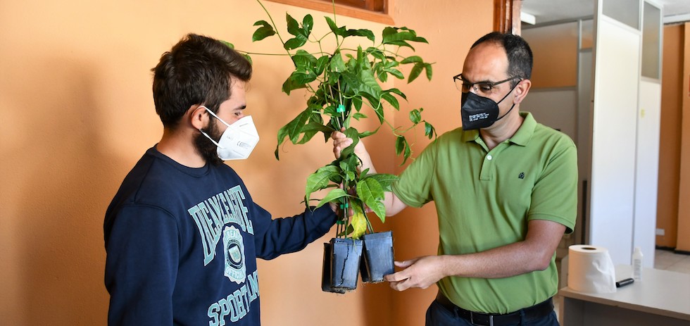 El edil Ernesto Hernández en la entrega de plantas de maracuyá