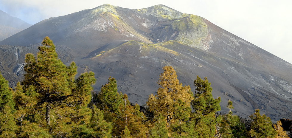 Volcán de Cumbre Vieja, La Palma. ACFI PRESS