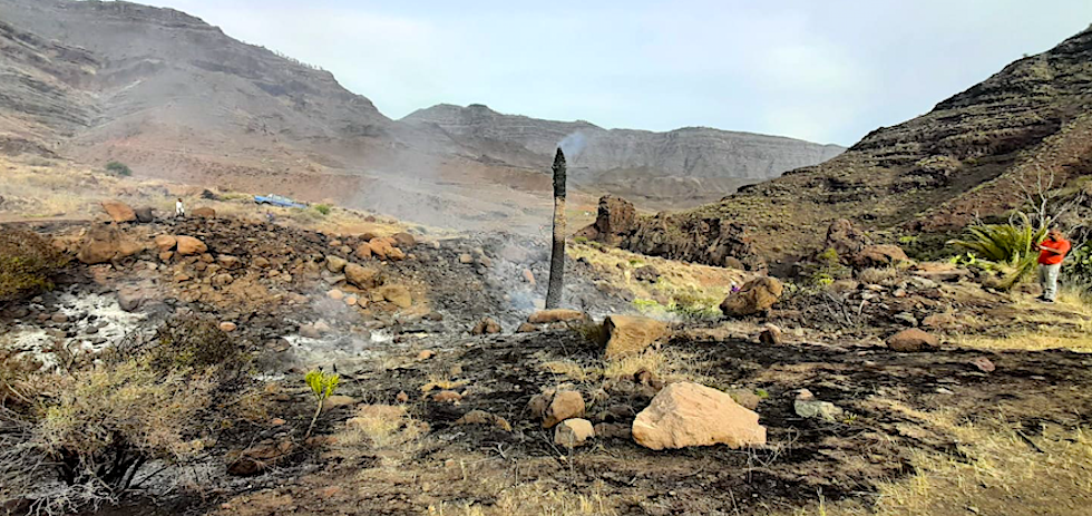 Conato de incendio en Veneguera