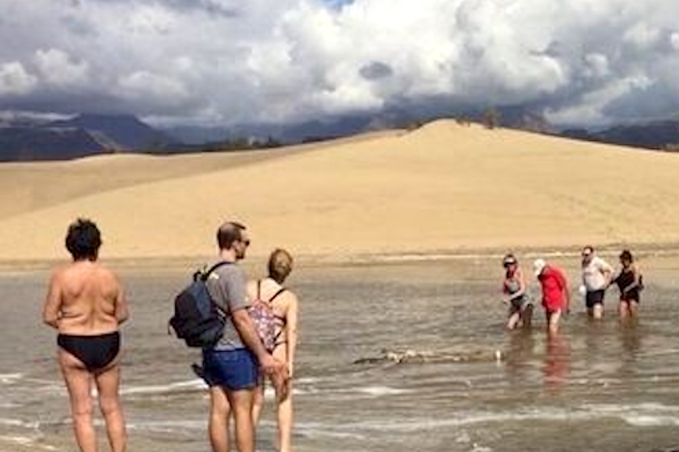 Dunas de Maspalomas. Imagen de archivo