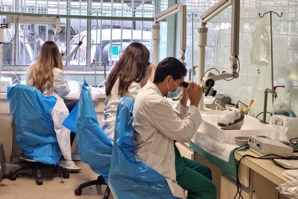 Curso de residentes de Otorrinolaringología.