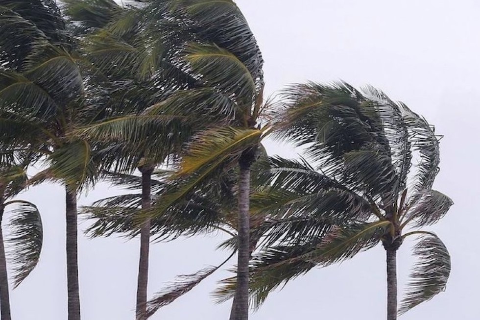 Rachas fuertes de viento. Imagen de archivo