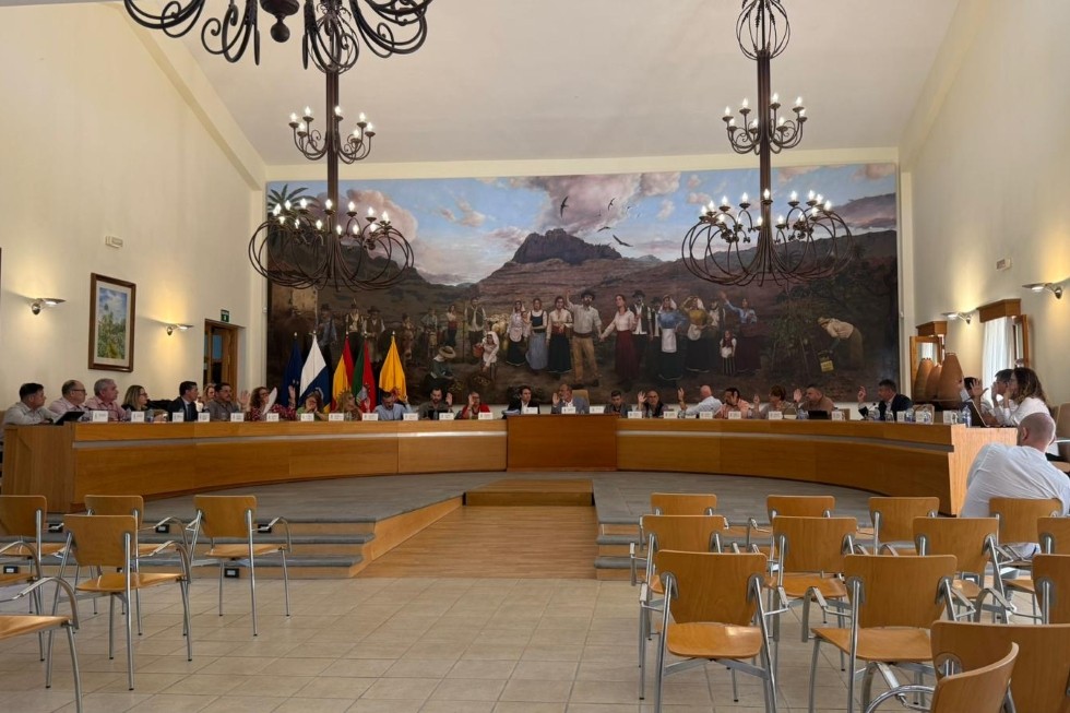 Pleno municipal de Santa Luc&iacute;a de Tirajana | Maspalomas Ahora