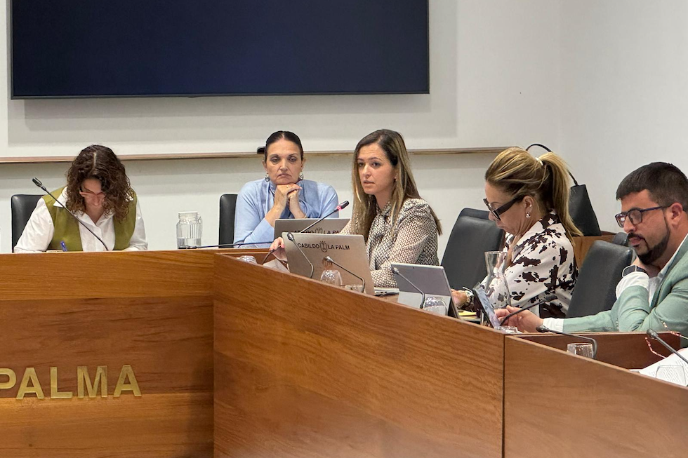 El Cabildo defiende el “rigor técnico” en la gestión del patrimonio cultural