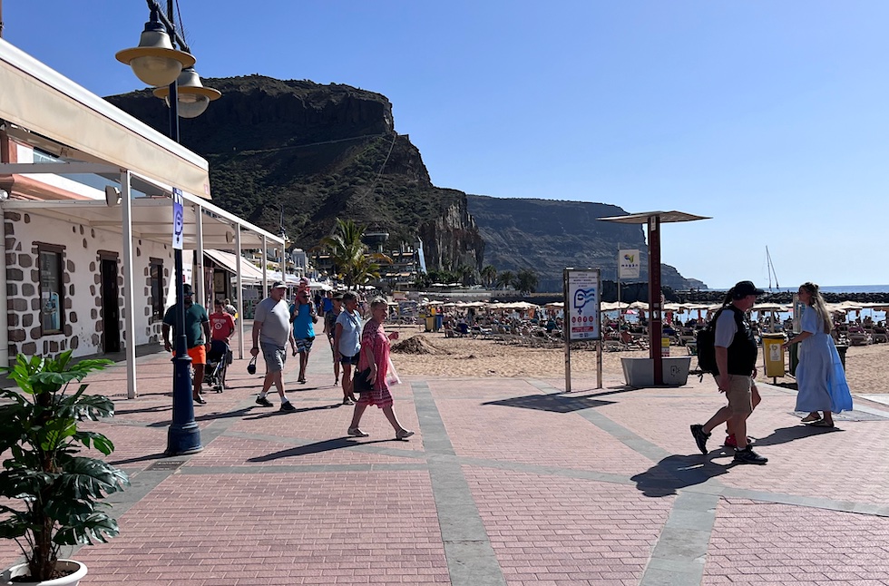 Playa de Mogán será fumigada este miércoles para reforzar el control de cucarachas y roedores