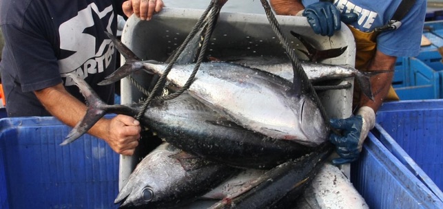 Imagen de archivo de una descarga de atunes.