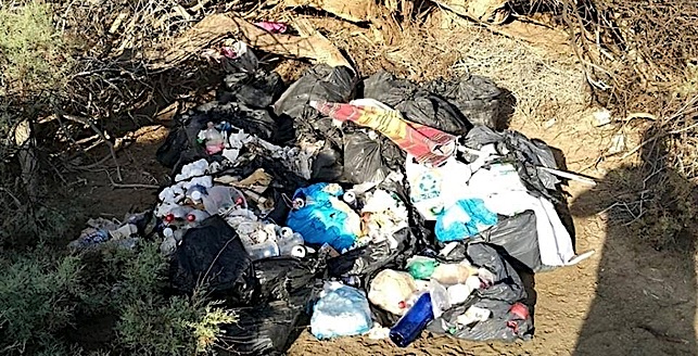 1.500 kilos de basura retirados de las Dunas de Maspalomas | FACEBOOK CONCHI NARVÁEZ