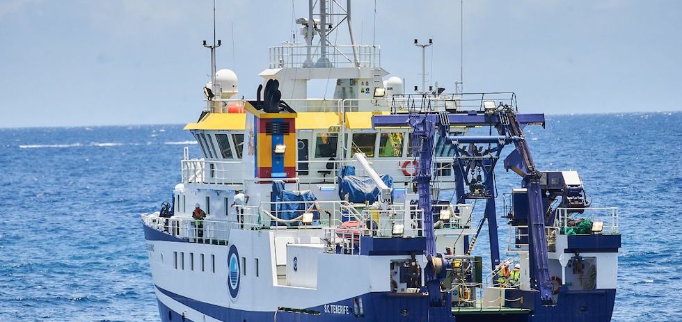 Rastreo de la zona. EFE