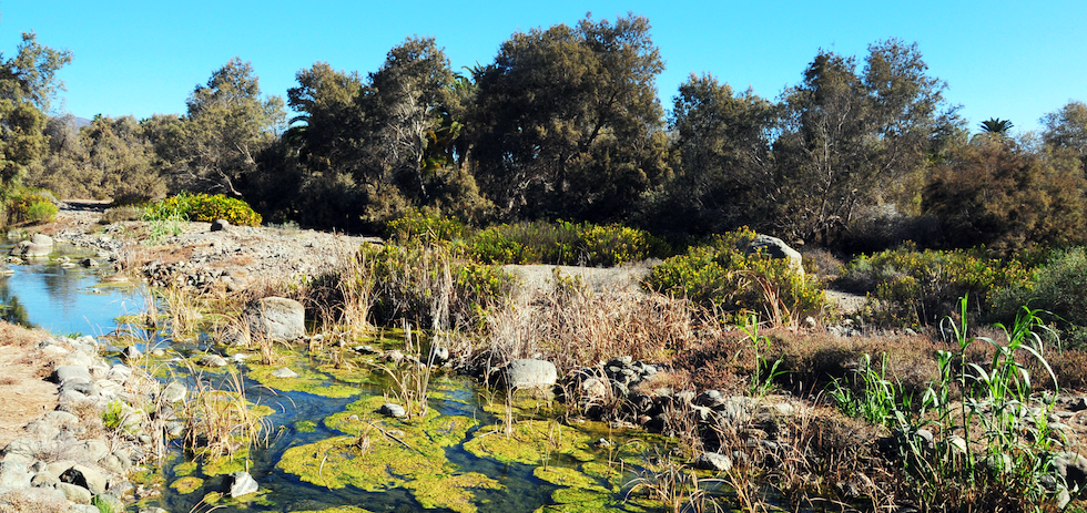 Visita de la familia al Parque Tony Gallardo