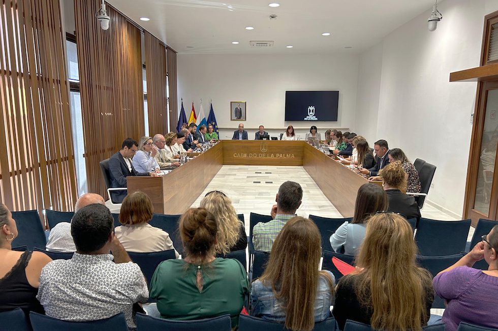 Pleno ordinario