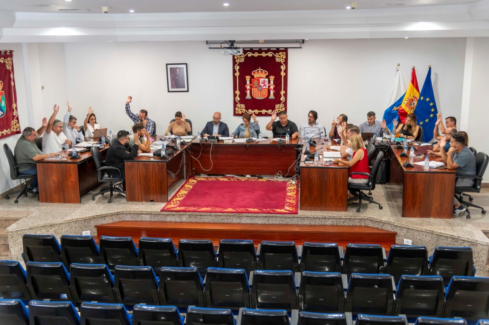 Sesión ordinaria del Pleno de Mogán del 2 de junio