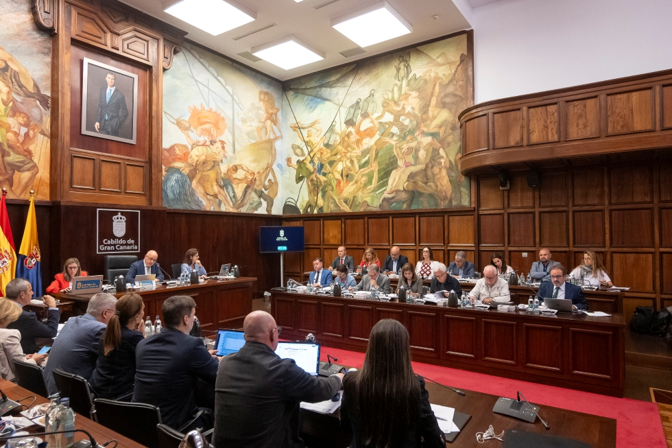 Un momento de la sesión plenaria del Cabildo de Gran Canaria