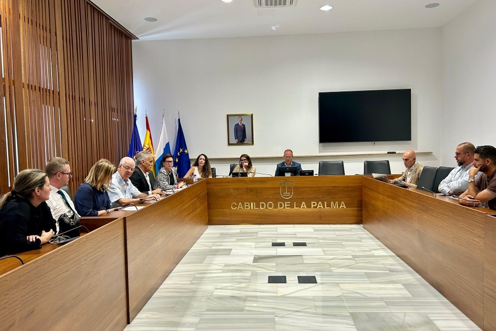 Reunión CIT Insular