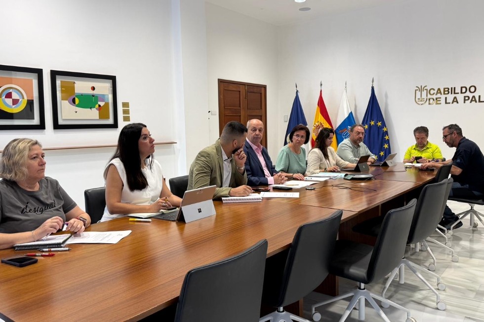 El Cabildo autoriza el regreso a dos nuevas viviendas en la zona negra de Puerto Naos
