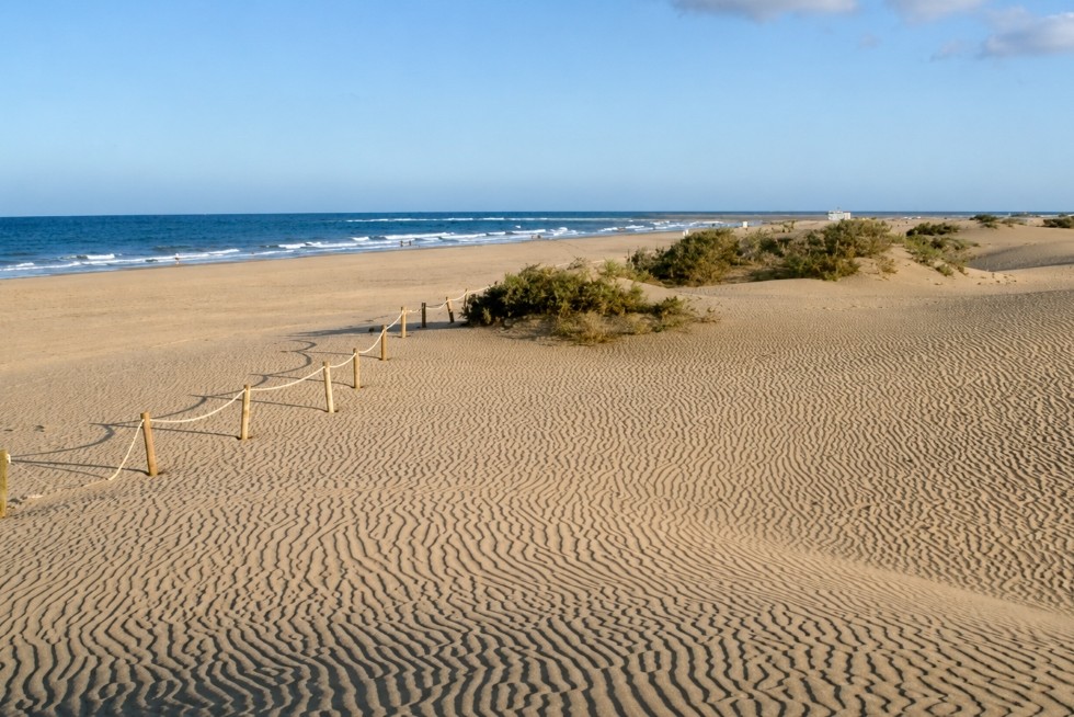 Dunas de Maspalomas | Maspalomas Ahora