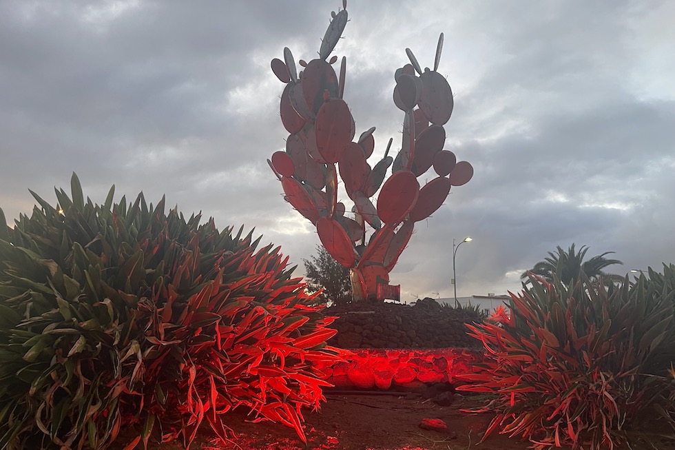 Rotonda iluminada en la Avenida Alejandro del Castillo, para contribuir a la difusi&oacute;n de informaci&oacute;n sobre Hemocromatosis