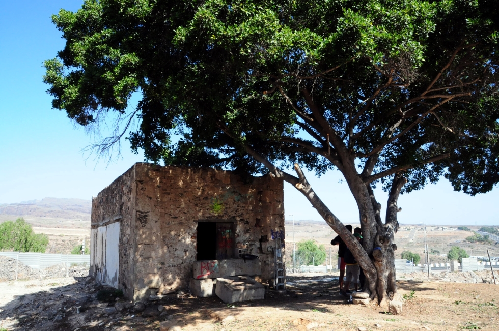 Casa del Mato