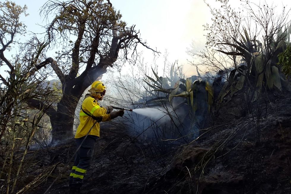 Fuego en Tejeda (imagen de archivo). Maspalomas Ahora