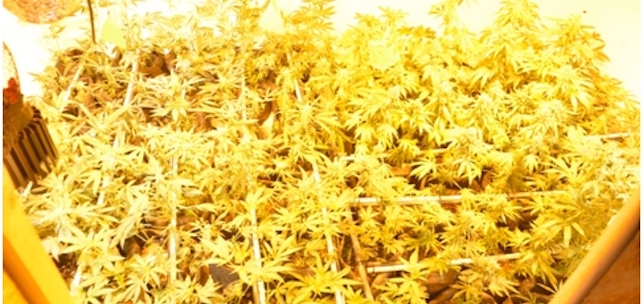 FOTO: Guardia Civil.