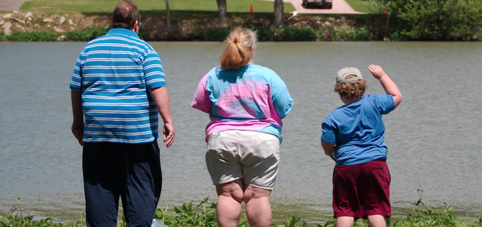 Shutterstock / Roberto Michel