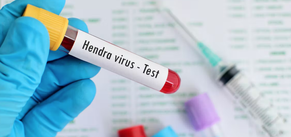 Shutterstock / Jarun Ontakrai