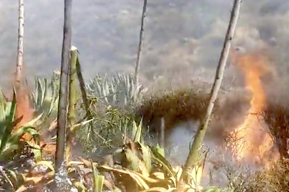 Conato de incendio en El Sequero.