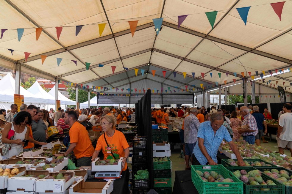 Vista general zona agricultores Feria del Mango y Aguacate de Verano 2023
