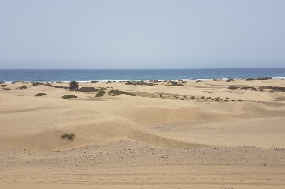 Dunas de Maspalomas