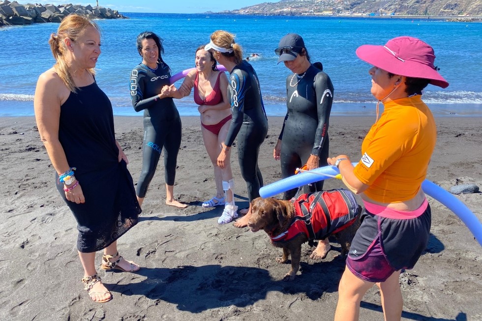 Proyecto "Ensalitrate"