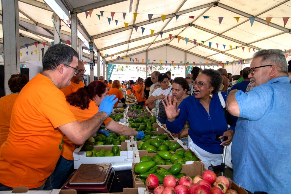 Feria del Mango y Aguacate de Verano
