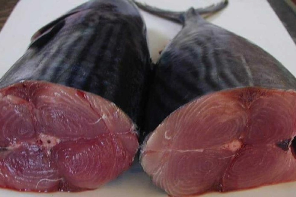 Pescado azul. Posible causante de la intoxicación.