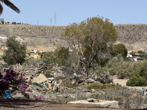 Foto: Maspalomas Ahora