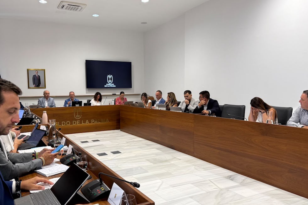 La Palma muestra su solidaridad con Venezuela tras los terremotos y coordinará la ayuda humanitaria