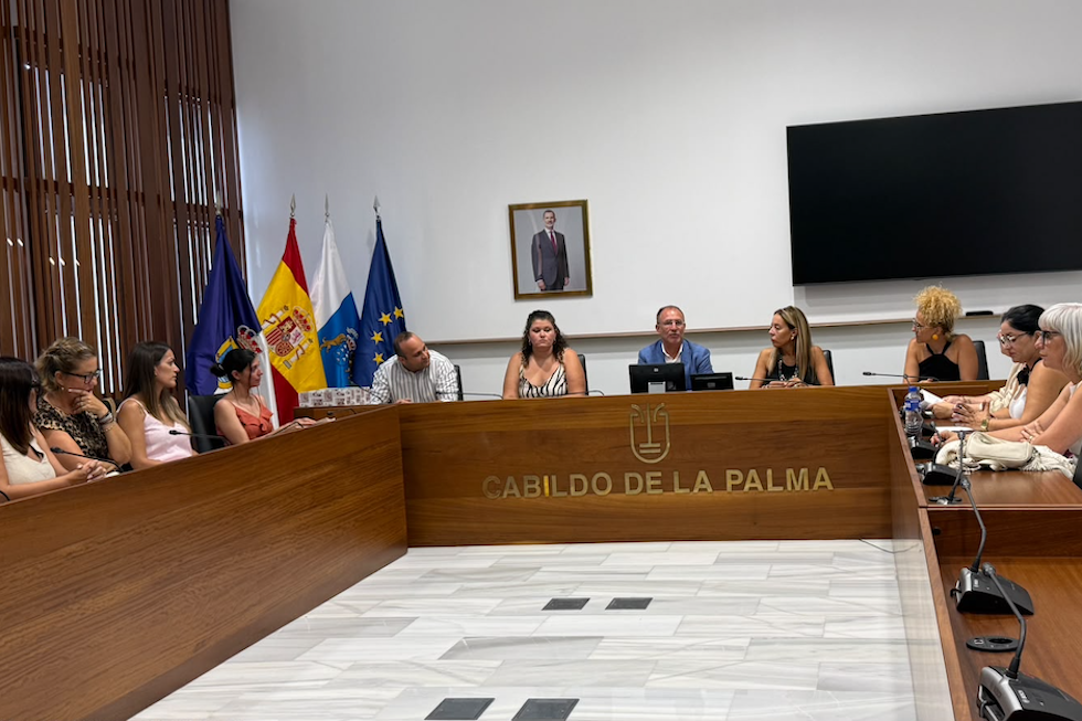El Cabildo y los 14 ayuntamientos impulsan una estrategia común para mejorar la accesibilidad en La Palma