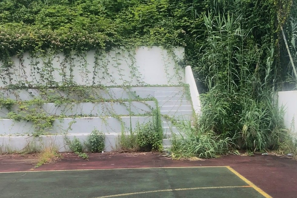 El Partido Popular de Puntallana denuncia el abandono de las instalaciones deportivas del municipio