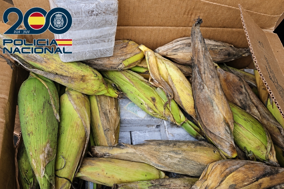 Hach&iacute;s oculto entre productos agr&iacute;colas | Maspalomas Ahora