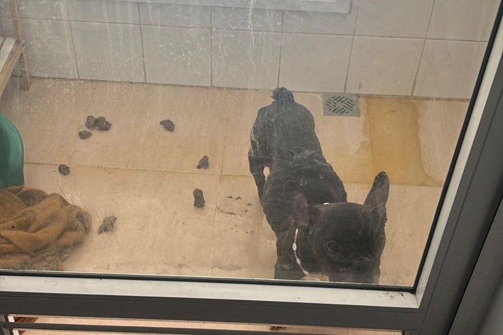 Un maestro de Maspalomas denuncia meses de acoso e indefensión en una habitación alquilada en Tenerife