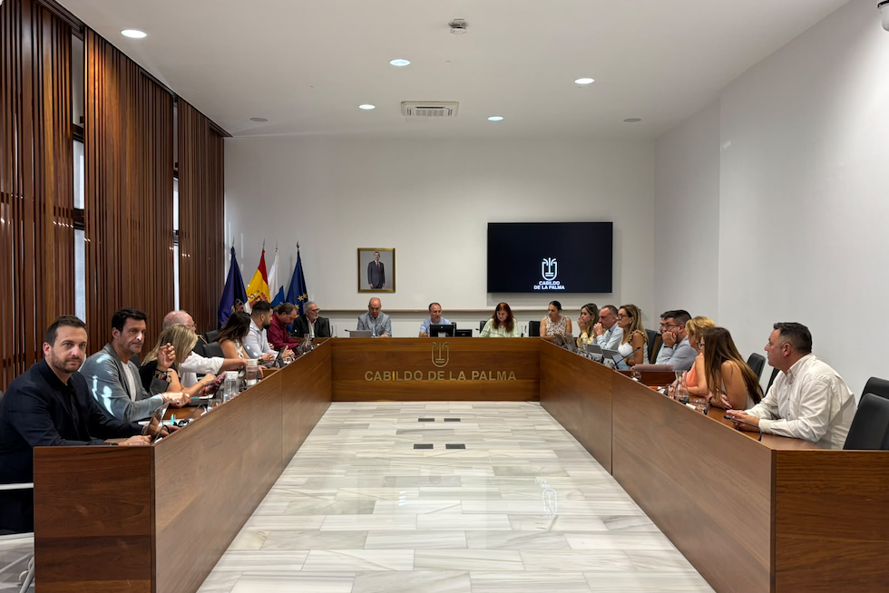 La Palma aprueba 2,9 millones en créditos extraordinarios y un préstamo de 27 millones para inversiones