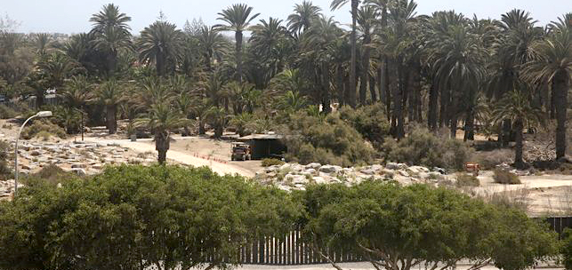 Parque Tony Gallardo en Maspalomas.  Alejandro Ramos