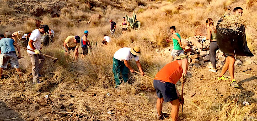 Los vecinos de Mog&aacute;n limpian la maleza en los alrededores de sus viviendas. MASPALOMAS AHORA