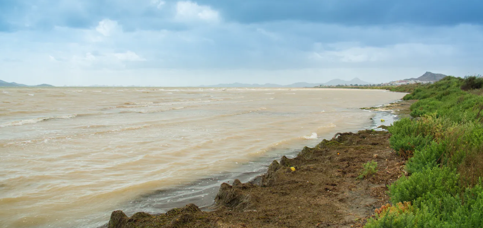 La eutrofización de las aguas del Mar Menor ha reducido su resiliencia y cambiado los ecosistemas. Siro_Rodenas/Shutterstock