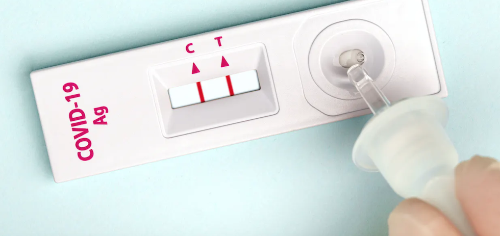 Shutterstock / Georgy Dzyura