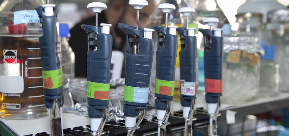 Sanidad, laboratorio