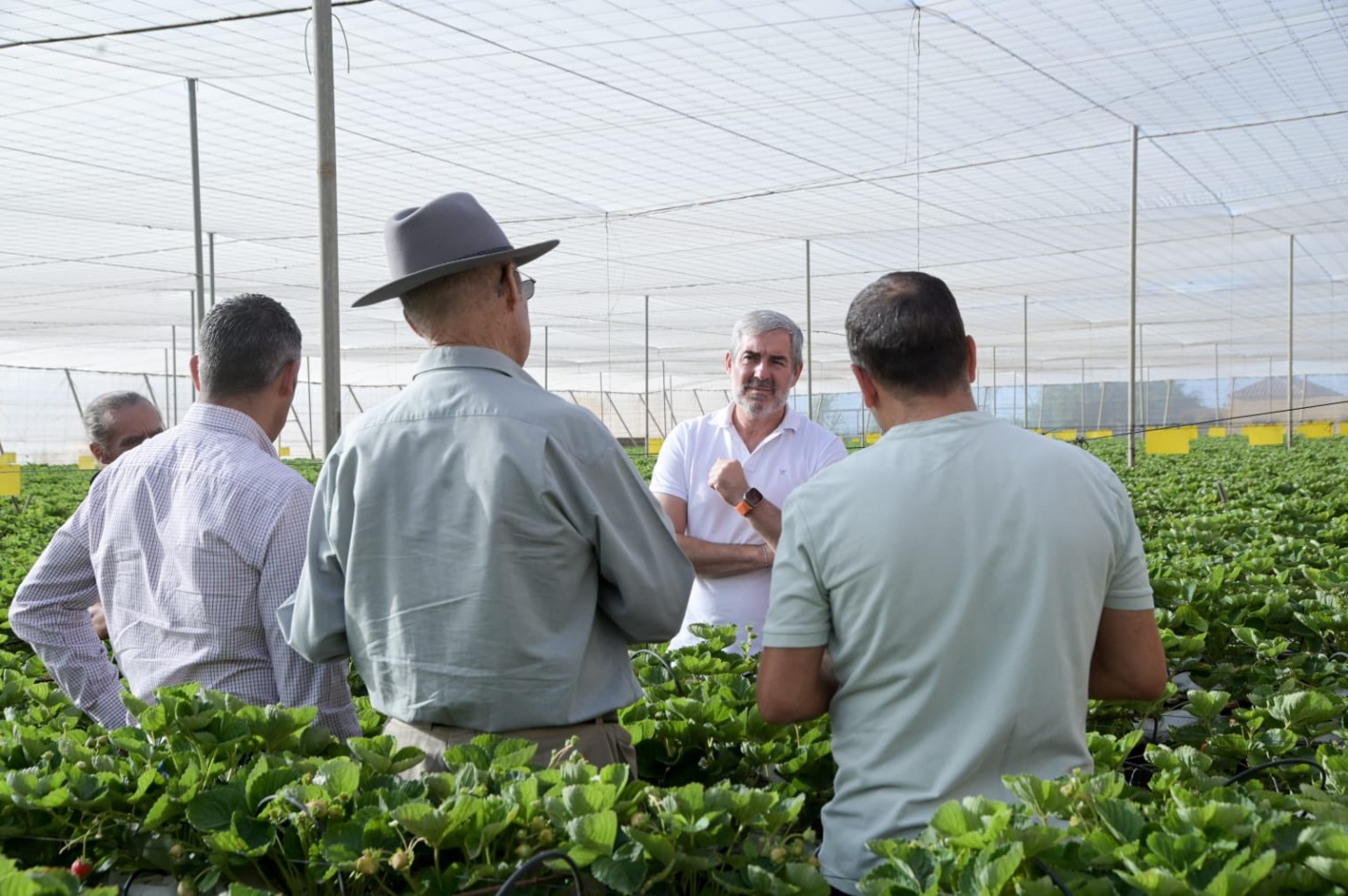 Visita a una finca hortofrutícola de la Sociedad Agraria de Transformación de Fernando Clavijo y Narvay Quintero
