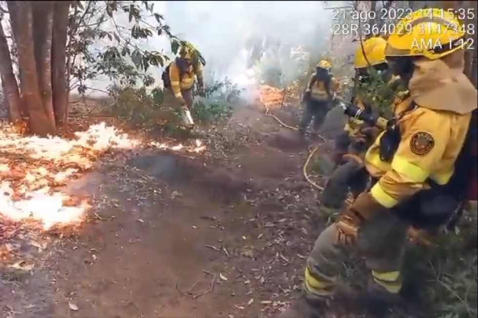 Quemas controladas por parte de las Brigadas de Refuerzo en Incendios Forestales en Tenerife