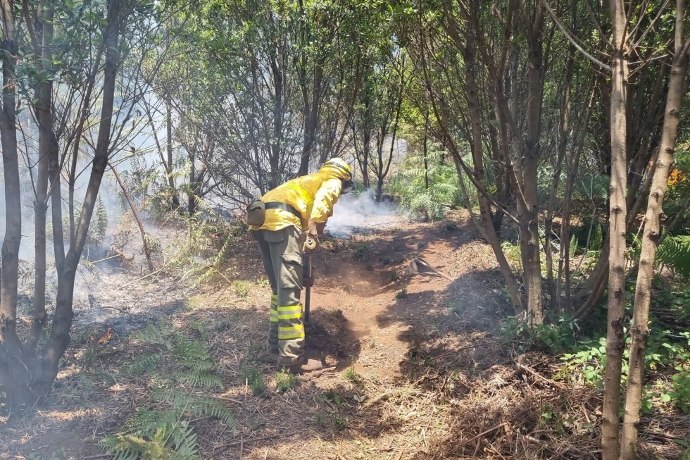 Labores de extinción del incendio de Tenerife