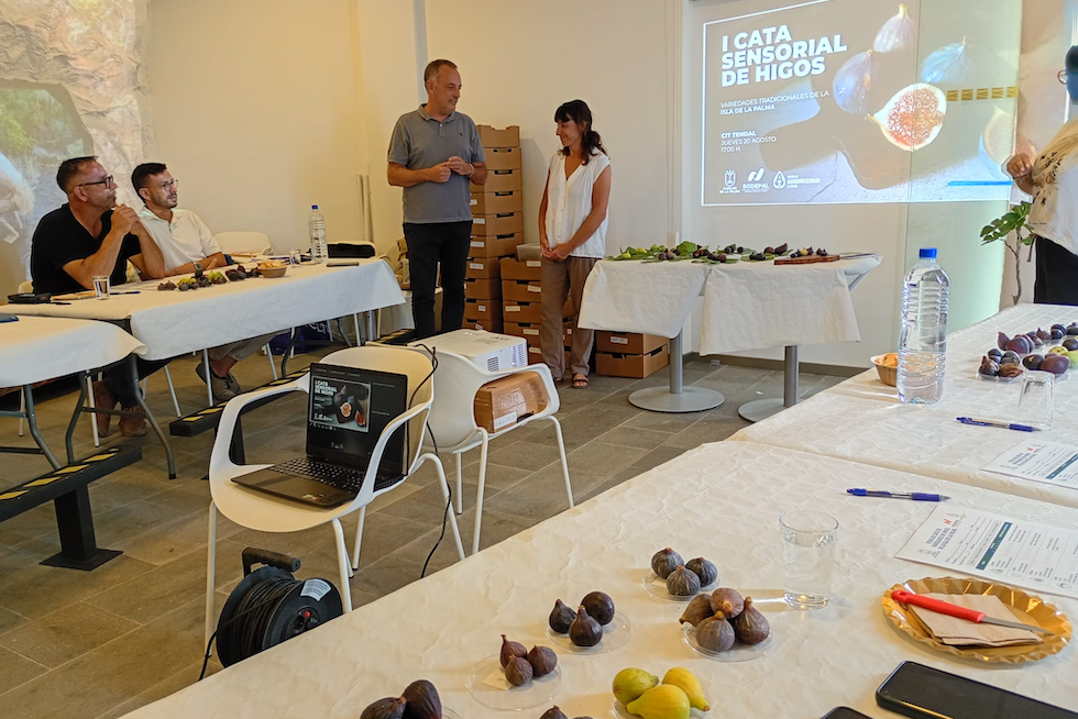 La Palma recupera 29 variedades de higuera tradicional para devolverlas al campo
