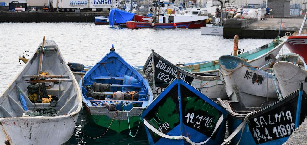 Pateras acumuladas en el muelle de Arguinegu&iacute;n. MASPALOMAS AHORA
