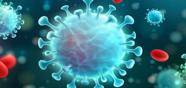 Alerta por coronavirus en las islas de Gran Canaria, Tenerife, Fuerteventura y La Gomera. MASPALOMAS AHORA