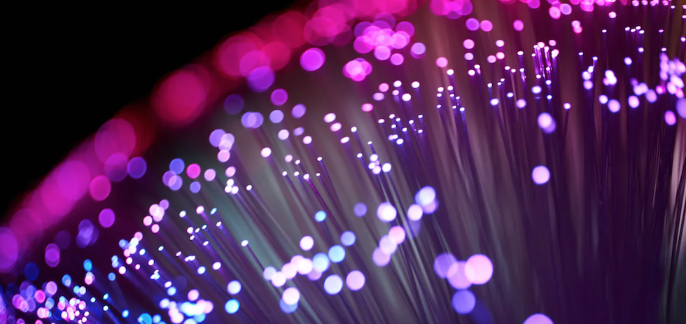 Shutterstock / Andrew Sotnikow